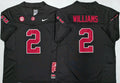 Men's Alabama Crimson Tide Ryan Williams Black Player Game Jersey
