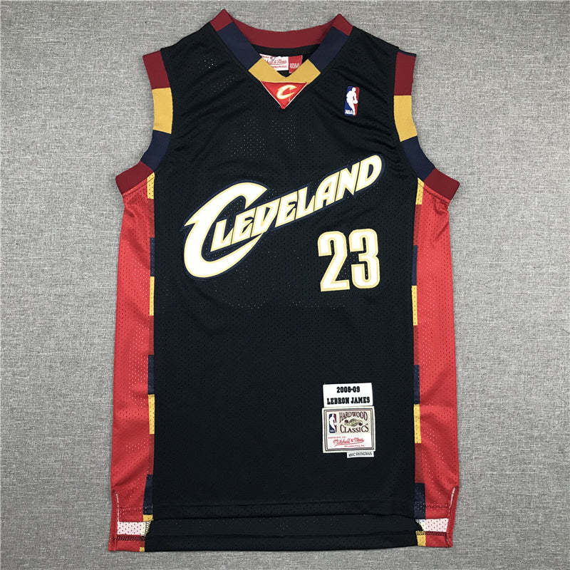 Men's Cleveland Cavaliers LeBron James 2008-09 Hardwood Classics Swingman Jersey