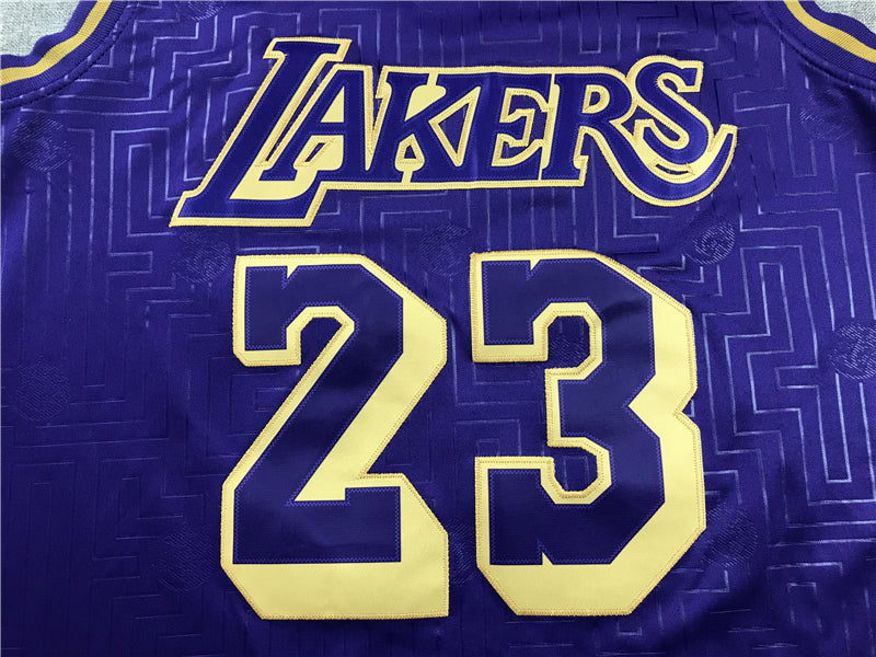 Men's Los Angeles Lakers LeBron James 2018-19 Hardwood Classics Swingman Jersey