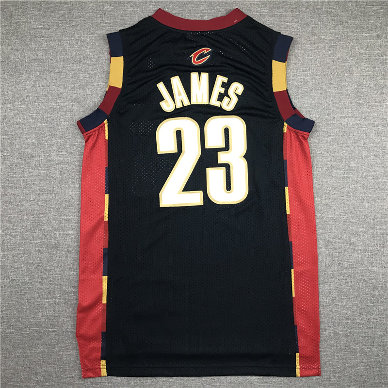 Men's Cleveland Cavaliers LeBron James 2008-09 Hardwood Classics Swingman Jersey