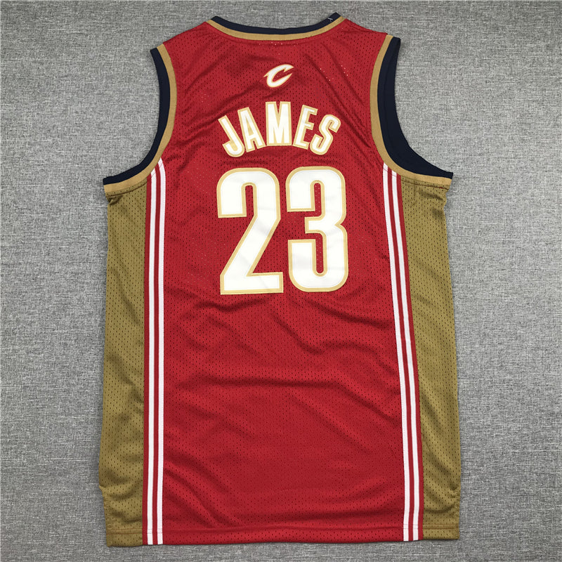 Men's Cleveland Cavaliers LeBron James 2003-04 Hardwood Classics Swingman Jersey