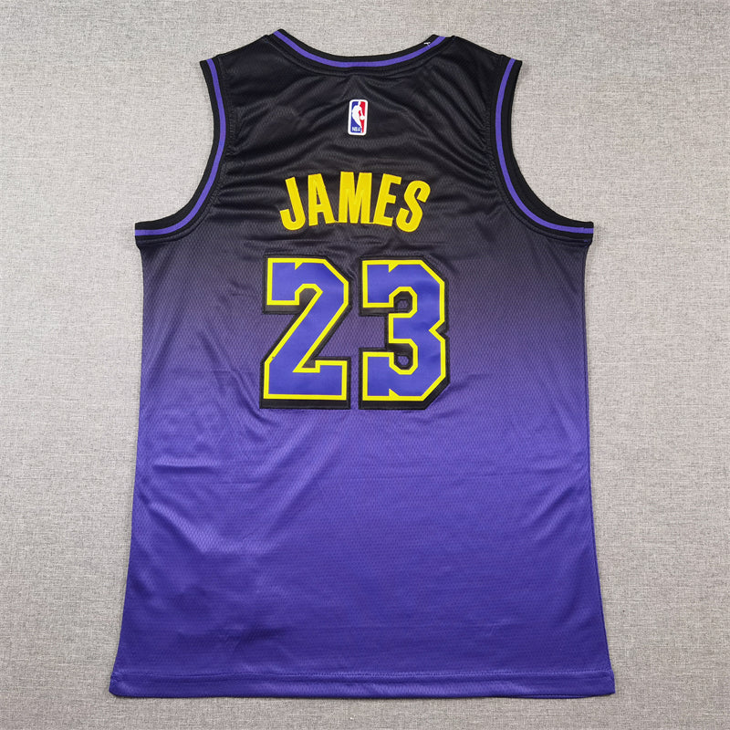 Men's Los Angeles Lakers LeBron James Purple 2024/25 Swingman Jersey - City Edition