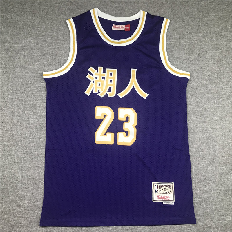 Men's Los Angeles Lakers LeBron James Purple Hardwood Classics Swingman Jersey