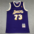 Men's Los Angeles Lakers Dennis Rodman Classics Swingman Jersey - Retro Purple