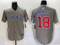 Men's Chicago Cubs Shota Imanaga Gray Limited Player Jersey