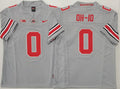 Men's Ohio State Buckeyes OH-10 Gray Player Game Jersey