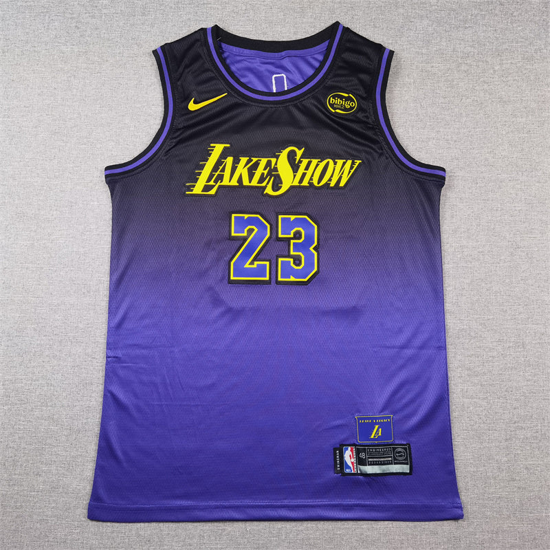 Men's Los Angeles Lakers LeBron James Purple 2024/25 Swingman Jersey - City Edition