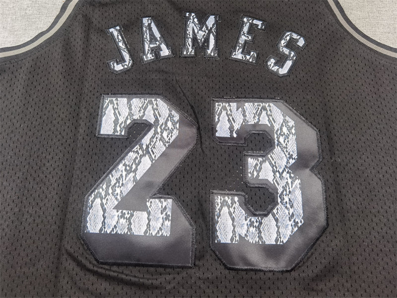 Men's Los Angeles Lakers LeBron James Black 2018/19 Hardwood Classics Swingman Jersey