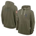 Men's Dallas Cowboys Olive 2025 Salute to Service Sideline Standard Issue Dri-FIT Hoodie