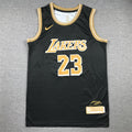 Men's Los Angeles Lakers LeBron James Black Select Series Swingman Jersey
