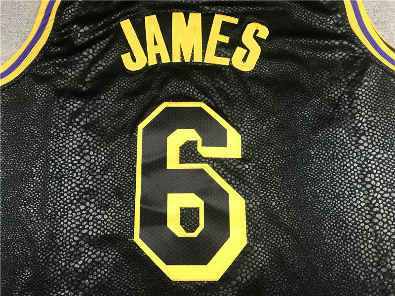 Men's Los Angeles Lakers LeBron James NBA Black Jersey