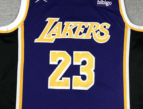 Men's Los Angeles Lakers LeBron James NBA Purple Swingman Jersey