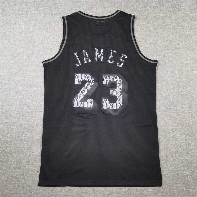 Men's Los Angeles Lakers LeBron James Black 2018/19 Hardwood Classics Swingman Jersey