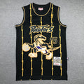 Men's Toronto Raptors Vince Carter 1998-99 Black Hardwood Classics Swingman Jersey