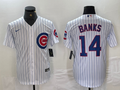 Men's Chicago Cubs Ernie Banks White Replica Baseball Jersey