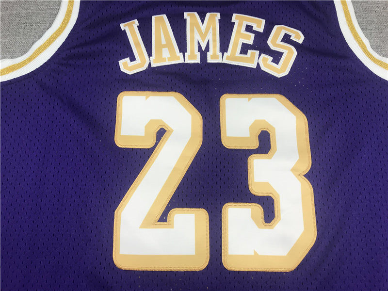 Men's Los Angeles Lakers LeBron James Purple Hardwood Classics Swingman Jersey