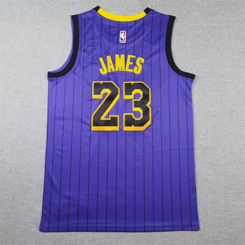 Men's Los Angeles Lakers LeBron James Purple Swingman Jersey - City Edition