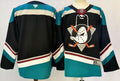 Men's Anaheim Ducks Fanatics Black Player Blank Jersey