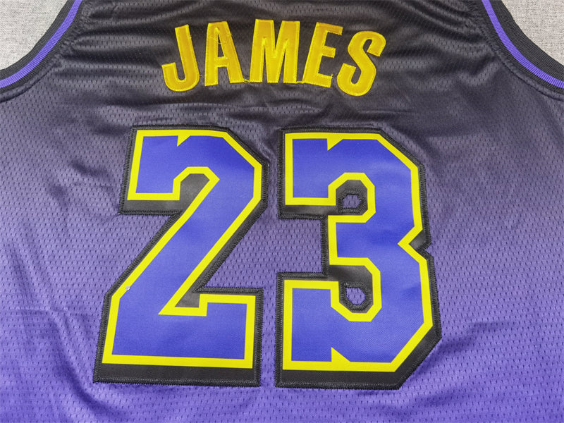 Men's Los Angeles Lakers LeBron James Purple 2024/25 Swingman Jersey - City Edition